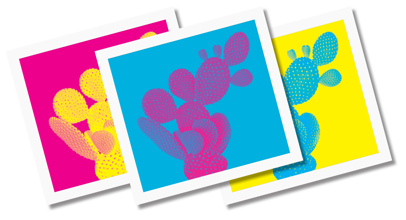 Muzeo Prints