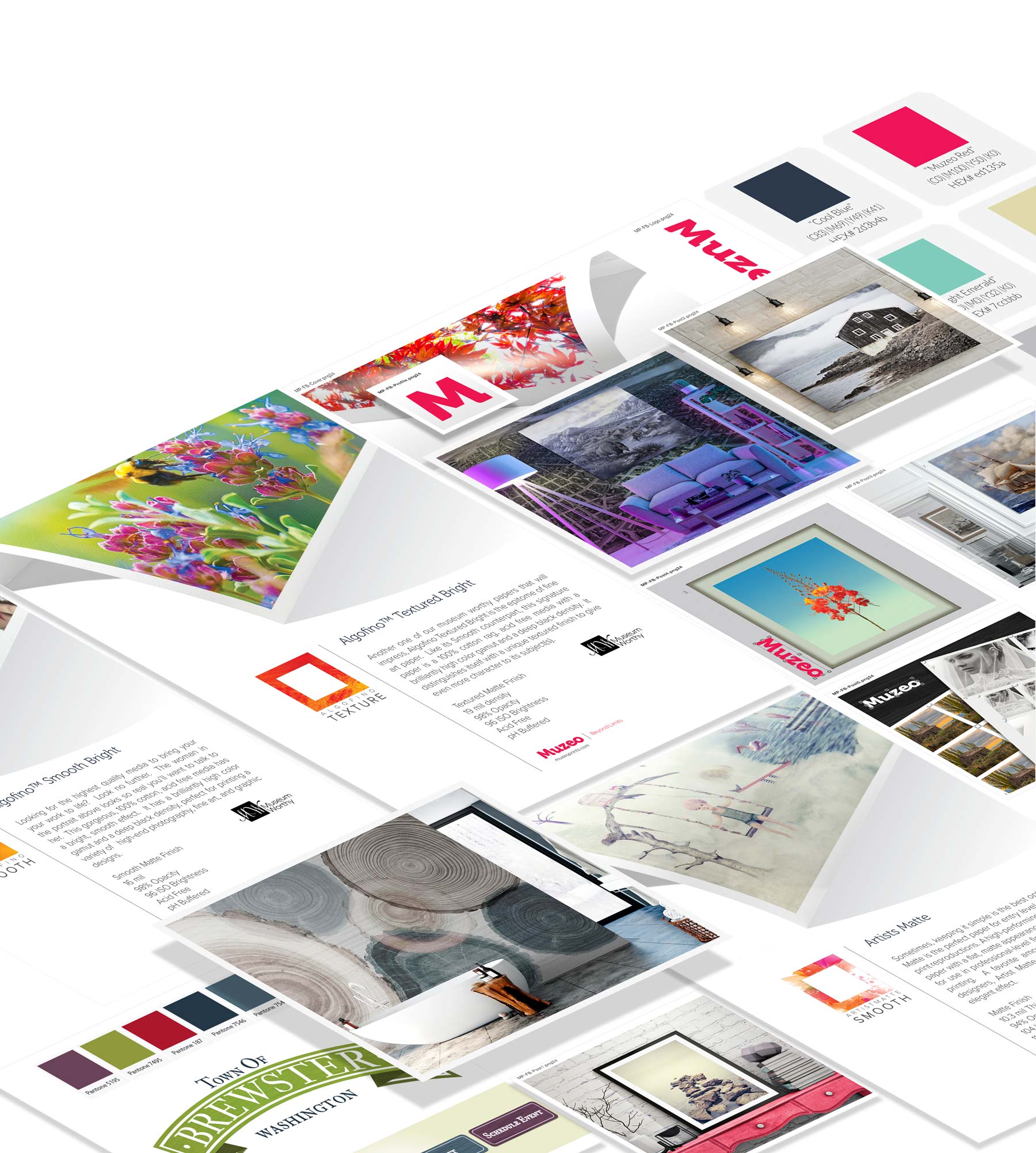 Muzeo-Portfolio-Content