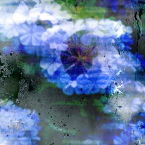 Blue abstract floral acrylic wall art by Leno Marin with frosted glass texture and soft blue blossoms.